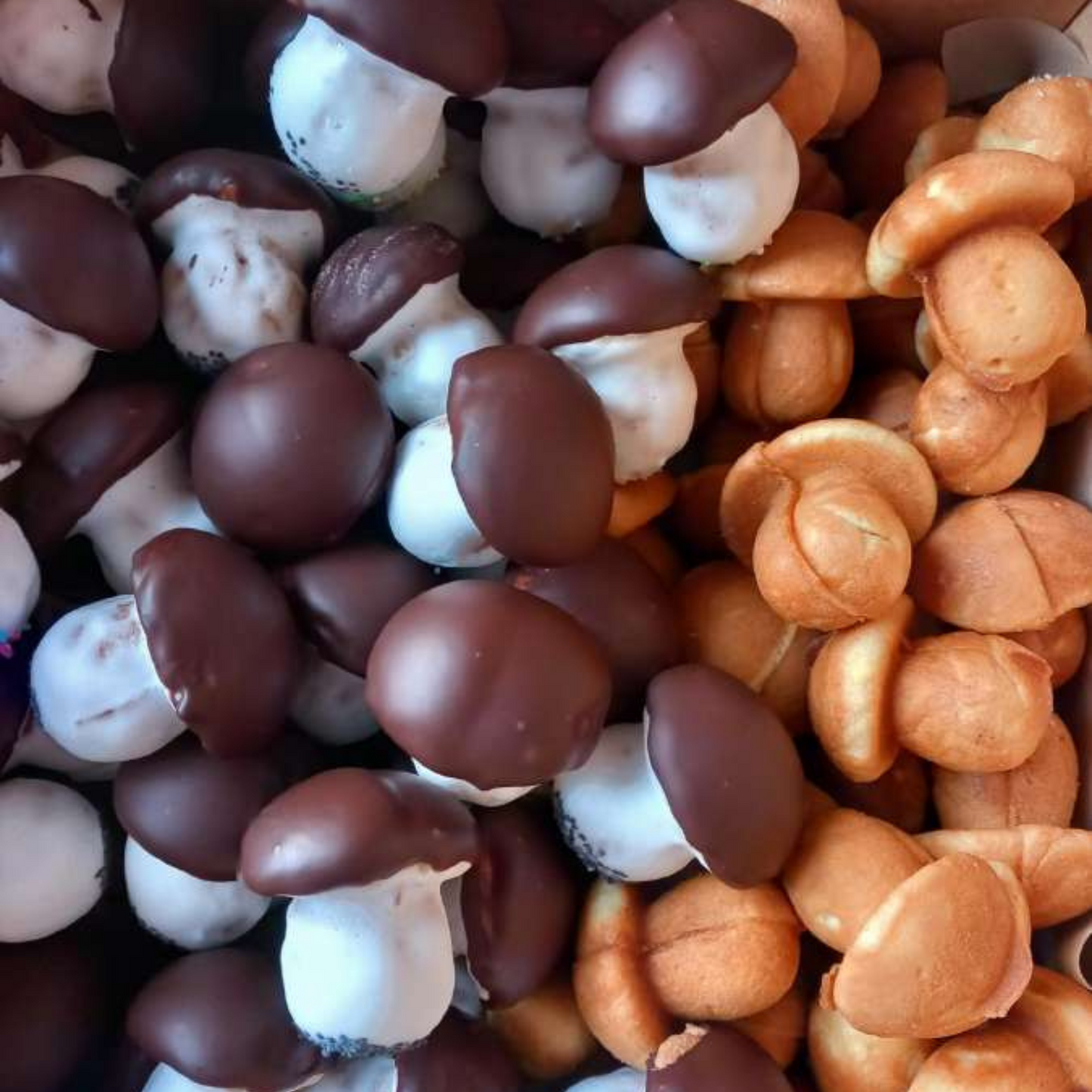 Handmade Spone Mushroom Cookies, 1kg 35.27 oz.